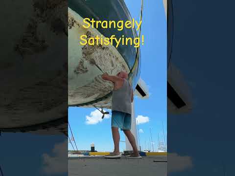 Barnacle Removal #japan #boatlife #sailing #coldplay