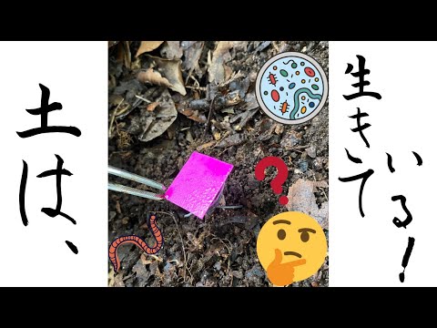 土壌の呼吸を観察しよう！