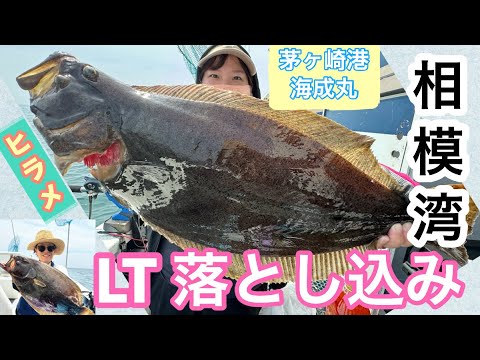 【落とし込み釣り】相模湾で気軽に出来るLT落とし込み釣り始めませんか？楽しいすぎる落とし込みで高級魚連発⁉︎【海成丸】