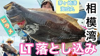 【落とし込み釣り】相模湾で気軽に出来るLT落とし込み釣り始めませんか？楽しいすぎる落とし込みで高級魚連発⁉︎【海成丸】