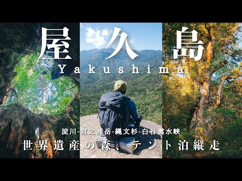 Hiking Yakushima Island Japan with tent white equipment