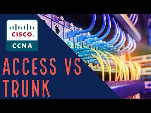 Cisco CCNA VLAN Access vs Trunk