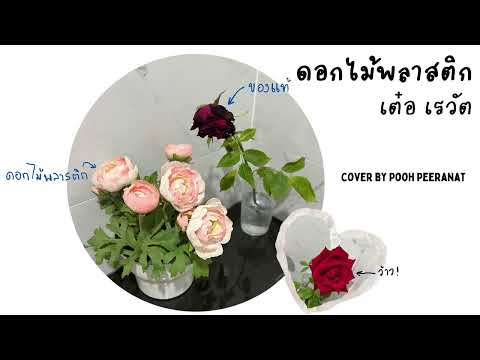 ดอกไม้พลาสติก - เต๋อ เรวัต | cover by Pooh Peeranat