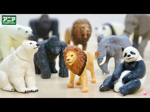 New Capsule Ania I love it!The world of animals Lion,Gorilla, Polar Bear,African Elephant,GiantPanda