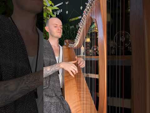 30 Seconds Of Peaceful Celtic Harp - A Mindful Moment #short