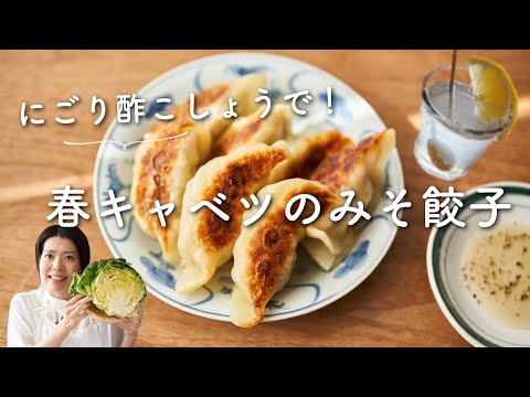 【春野菜たっぷり】春キャベツのみそ餃子のレシピ・作り方(黒酢もろみのにごり酢活用)