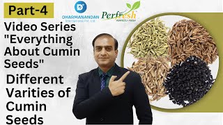 Everything About Cumin Seeds-Video Series Part 4:- Different varieties of Cumin Seeds| Indian Spices