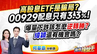 2024.12.03【高股息ETF是騙局？ 00929配息只有3.3％！ 爆量下跌該怎麼『逆轉勝』？ 『緯穎』還有機會嗎？】（CC字幕）#鼎極操盤手 何基鼎分析師