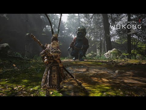 Black Myth: Wukong - Bullying Bosses In NG+ | Wandering Wight