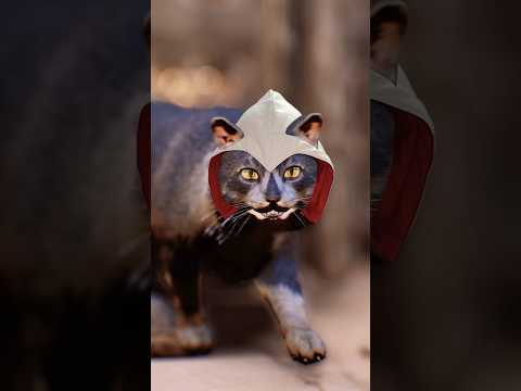 The Cats have a secret in Assassin’s Creed Mirage! #assassincreedmirage #easteregg