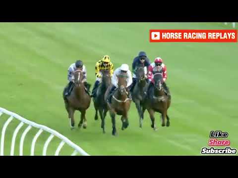 All Agleam / 5 Race Lingfield 30 Jul 2024