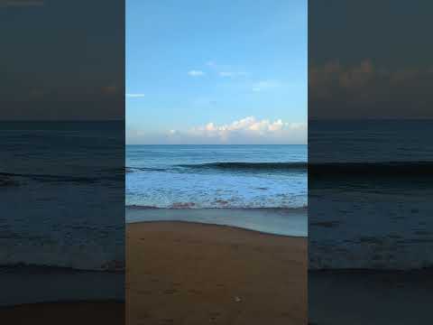 Ocean life #nature #musicgenre #oceanlife #sea #sand #beach #yt #ytviral #ytshorts