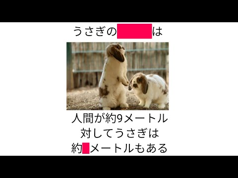 動物雑学まとめ