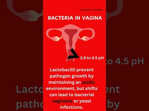 Bacterial Vaginosis in Female Genital System - Lactobacilli, yeast infection candidiasis