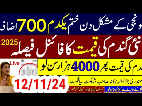 today wheat price in punjab//گندم کا ریٹ/25 '2024/munji makki till sarso/galla mandi rates today