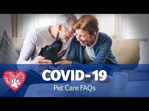 Caring for Your Pet During COVID-19