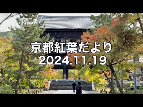 【11/19京都紅葉】南禅寺・永観堂・平安神宮・加茂川・嵐山