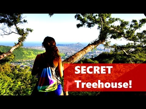 SECRET TREEHOUSE Oahu, Hawaii - Hawaii Vlog 5