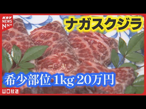 【国内初】ナガスクジラ生肉・希少部位1kg20万円で落札／山口県下関市