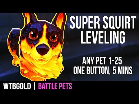 SUPER SQUIRT | Level WoW Battle Pets 1-25 in 5 mins w/1 Button