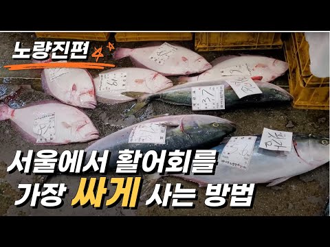 [노량진수산시장] 서울에서 활어회를 가장 싸게 사는 방법