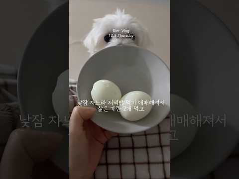 유산 후 매일 운동하게 된 이유 #다이어트144일차 #다이어트 #다이어트식단 #vlog #브이로그 #diet #쇼츠 #식단 #일상 #daily #유산소운동 #홈트레이닝