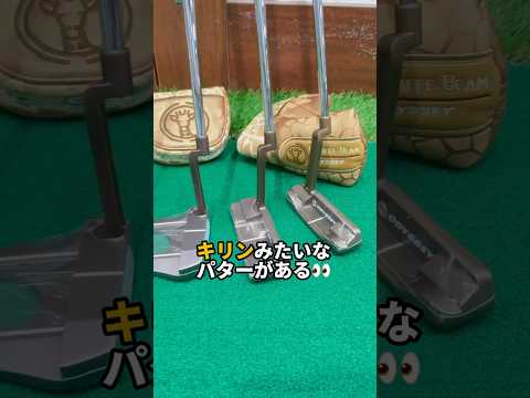 ツアープレイヤー内で"キリン"大流行中🦒💨！？新しく入荷した「GIRAFFE-BEAM」パター⛳ #Victoriagolf #ヴィクトリアゴルフ #ゴルフ #パター #odyssey