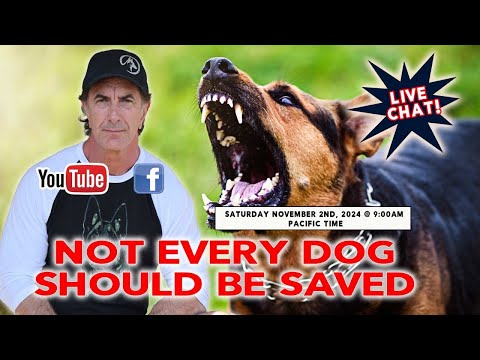 NOT EVERY DOG Should Be Saved - LIVE