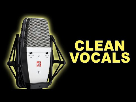 sE Electronics T1 Professional Condenser Microphone Audio Test & Review