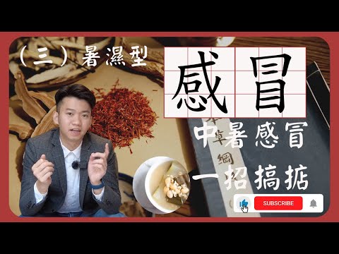 【感冒食譜】藿佩冬瓜湯 藿香飲 助力感冒調養（三）暑濕型感冒 - 文傑談健康 #中醫養生 #草藥介紹 #中醫分享#感冒食譜