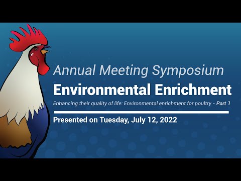 Enhancing their quality of life: Environmental enrichment for poultry (Part 1/2)