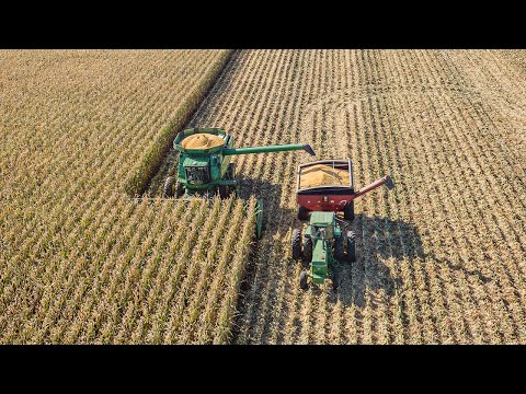 Open Season on Corn Harvest