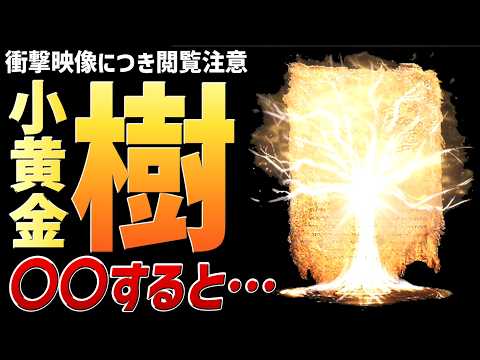 【エルデンリング DLC】巫子の村の「小黄金樹」に〇〇すると…衝撃映像につき閲覧注意！！【小ネタ・裏技・検証】