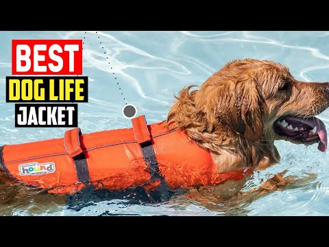 ✅5 Best Dog Life Jacket in 2023