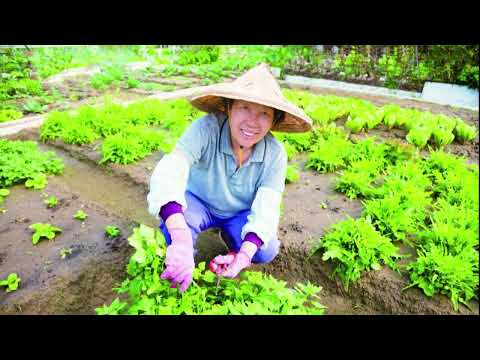 The Okinawan Way; The Land of Courtesy and Cleanliness