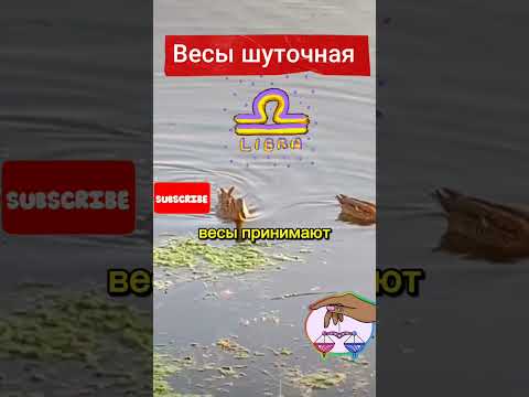 Весы характеристика