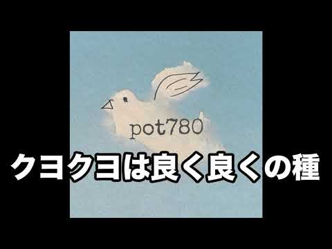 メイトラジオ：pot780 オープニングトーク