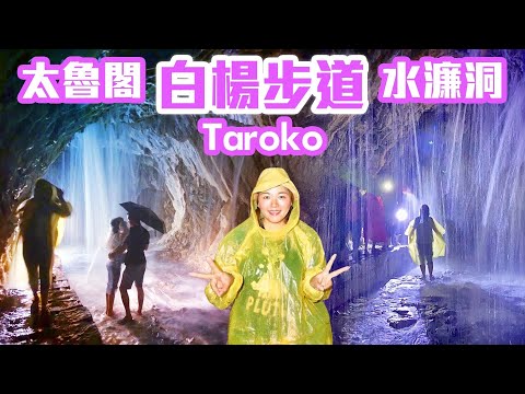 【花蓮景點】太魯閣「白楊步道」白楊吊橋、水濂洞  ( 全程完整記錄 )  Taroko National Park Bai-yang Trail