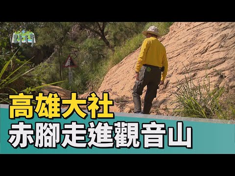 Walk!野行|高雄大社 赤腳走進觀音山