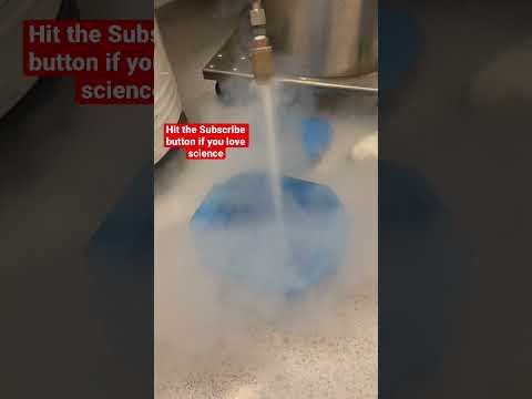 Liquid Nitrogen Eperiment #liquidnitrogen #scienceexperiment #shorts #scienceproject