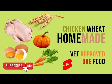 Chicken and Wheat Homemade vet approved easy to cook Human grade dog food | blogsbyibrar