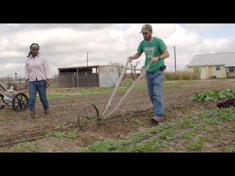 Manage Weeds on Your Farm: Hand Tools in the Market Garden at Terra Preta Farm