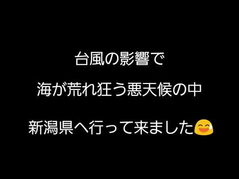 【予告】とよたく氏の休日⑧( ˘ω˘)ライトショアジギング