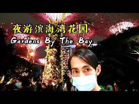 新加坡景点 《滨海湾花园中秋灯展 2020 》Gardens By The Bay