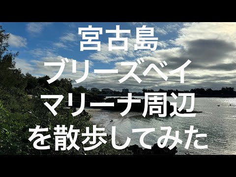 【宮古島】ブリーズベイマリーナ周辺散歩 2024/11/11