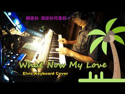 What Now My Love  - 現該如何是好? 親愛的! ( Keyboard Cover ) - Elvis