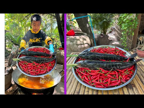 Yummy snakehead fish with chili cooking - Seyhak cook for mother - Chef Seyhak