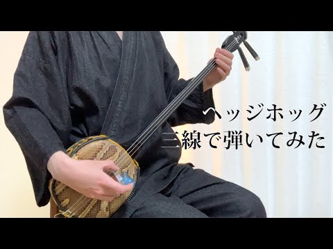 【和楽器】ヘッジホッグを三線で弾いてみた / Hedgehog Sanshin Cover