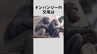 【衝撃的】賢すぎるチンパンジーのおもしろい雑学 #雑学 #動物 #チンパンジー