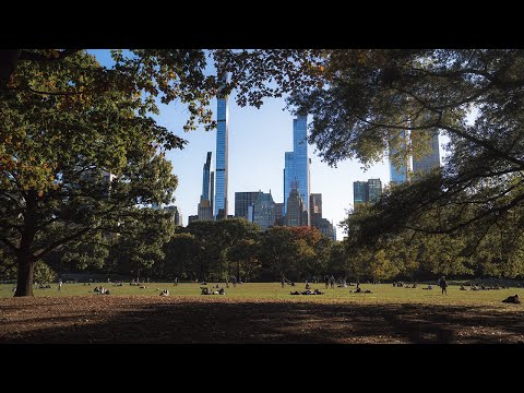 뉴욕 센트럴파크에서 낭만 사진 찍기! POV with Sony A7M4